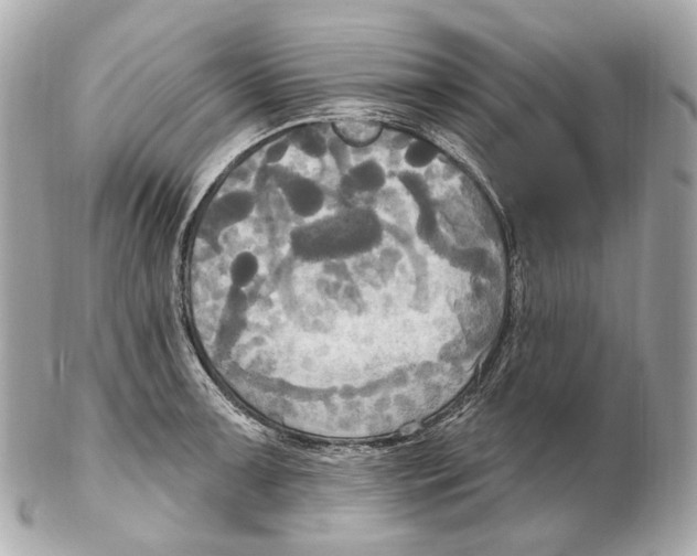 X0000102411091200808291502