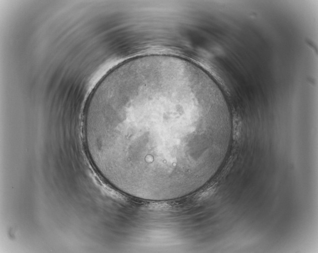 X0000102411094200808291502