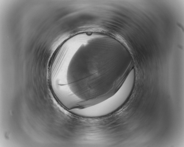 X0000102411095200808291502