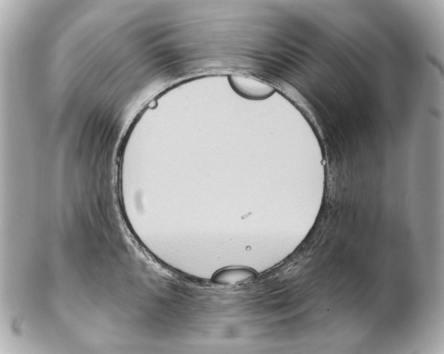 X0000102411096200808291502