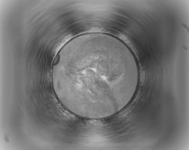 X0000102411097200808291502