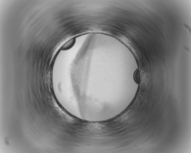 X0000102411100200808291502