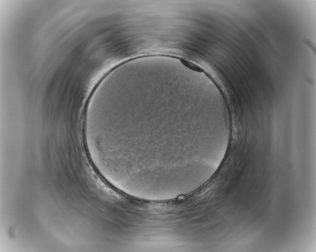 X0000102411102200808291502