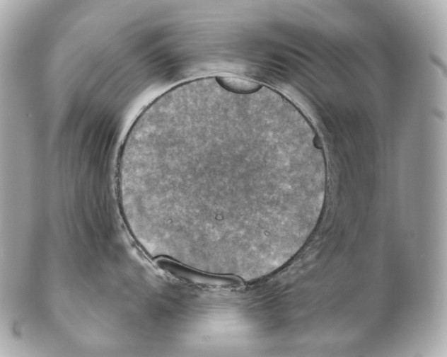 X0000102411104200808291502