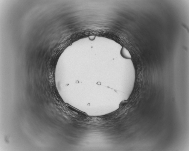 X0000102411109200808291501