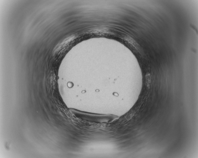 X0000102411111200808291501