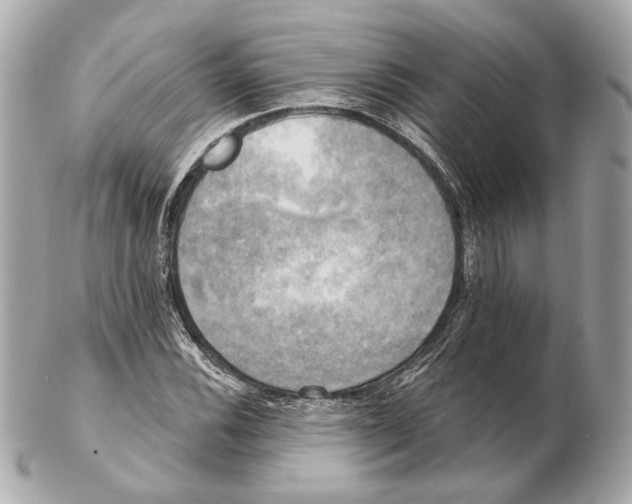 X0000102411116200808291501