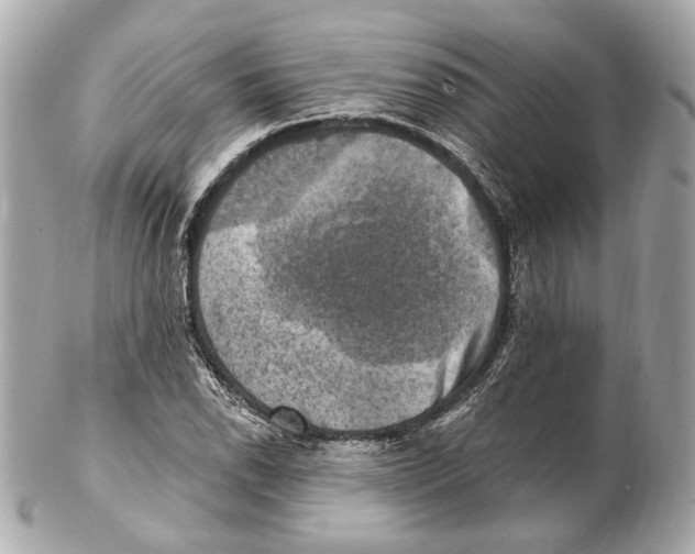 X0000102411118200808291501