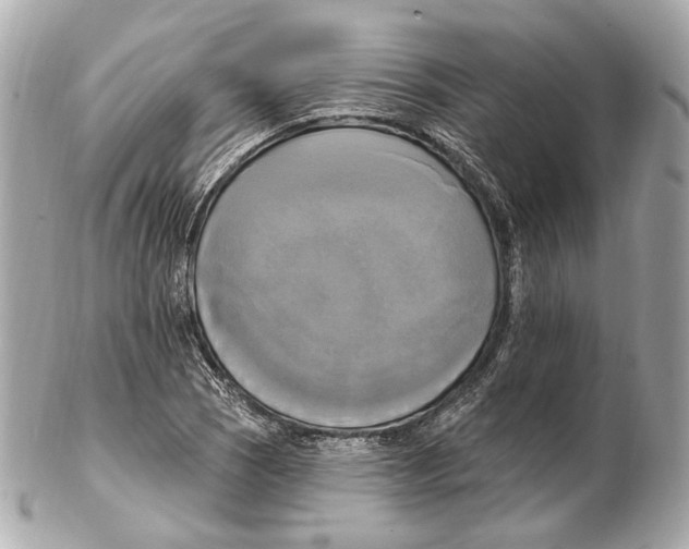 X0000102411121200808291502