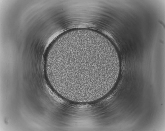 X0000102411122200808291502