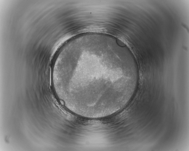 X0000102411123200808291502