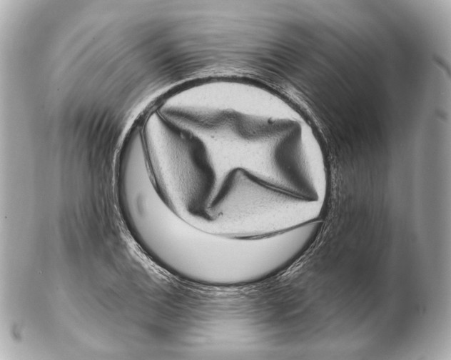 X0000102411124200808291502