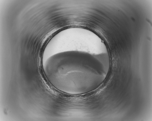 X0000102411125200808291502