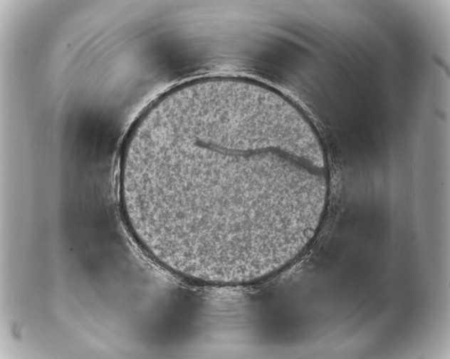 X0000102411126200808291502