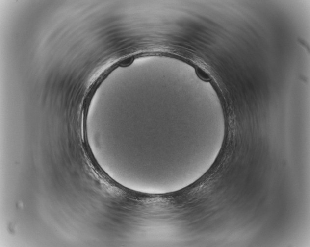 X0000102411127200808291502