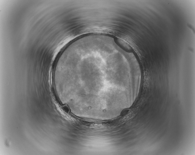 X0000102411128200808291502