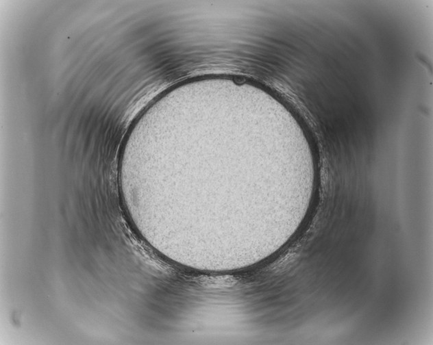 X0000102411129200808291502