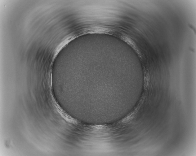 X0000102411130200808291502