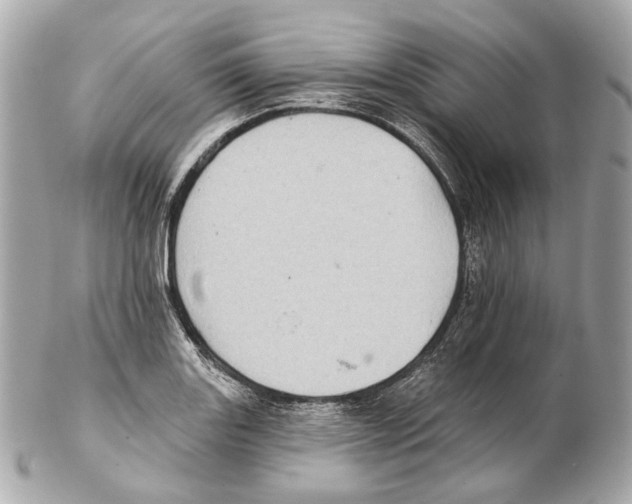 X0000102411131200808291502