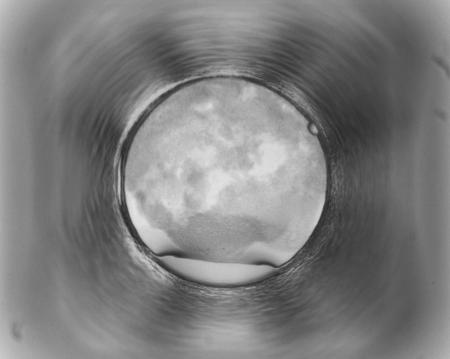 X0000102411132200808291502