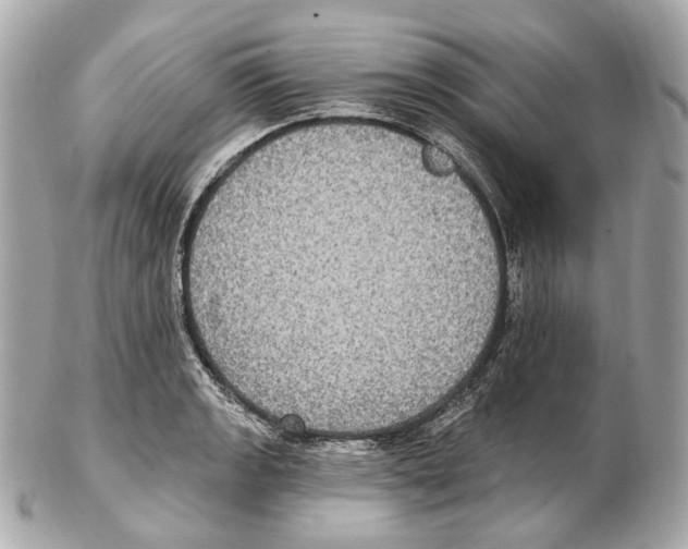 X0000102411133200808291502