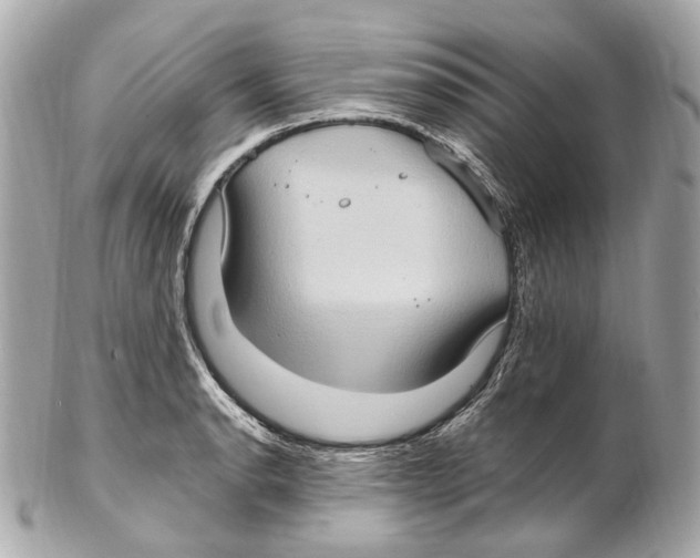 X0000102411134200808291502