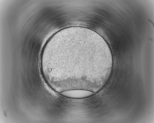 X0000102411136200808291502