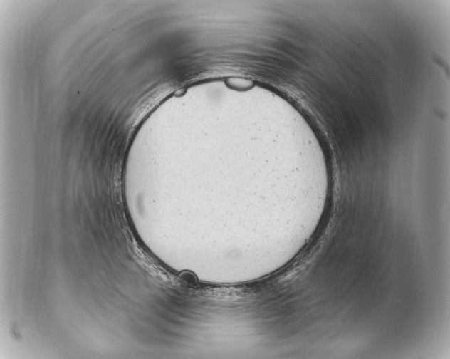 X0000102411137200808291502