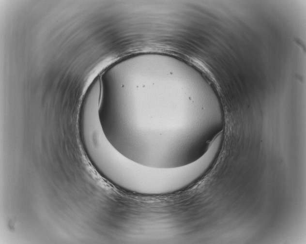 X0000102411138200808291502