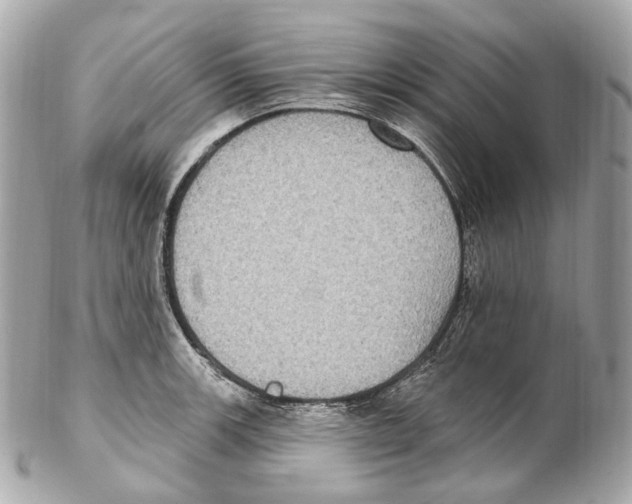 X0000102411139200808291502