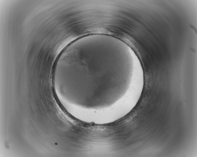 X0000102411141200808291502