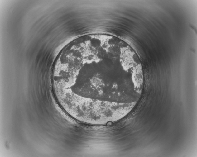 X0000102411142200808291502