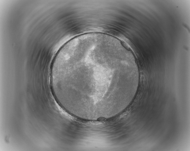 X0000102411143200808291502