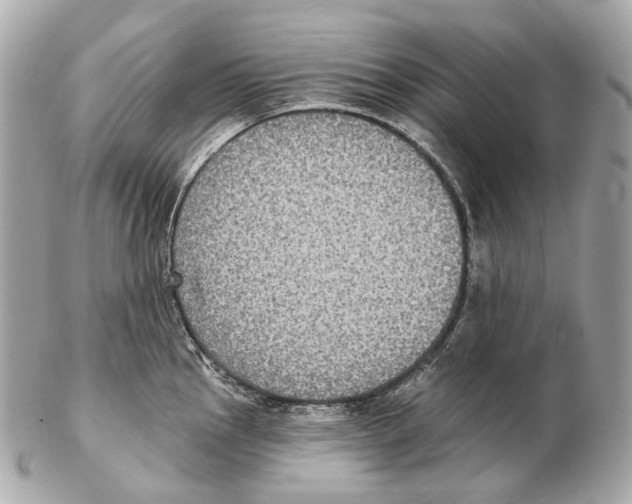 X0000102411145200808291502