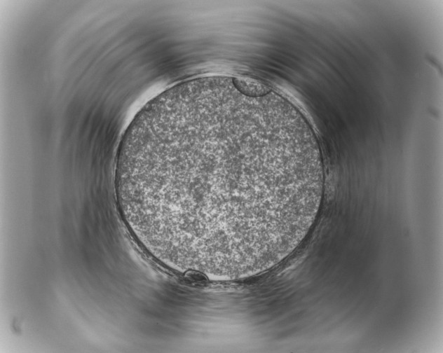 X0000102411146200808291502