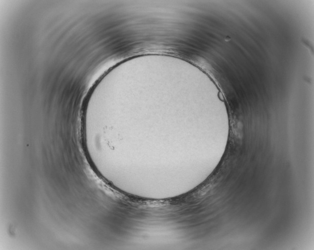 X0000102411147200808291502