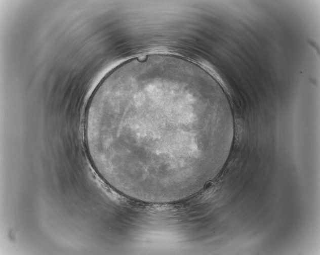 X0000102411148200808291502