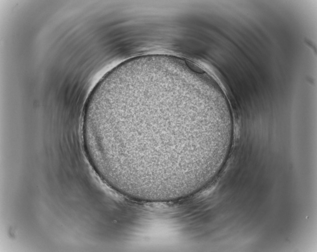 X0000102411149200808291502