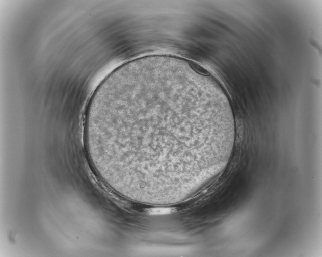 X0000102411151200808291502