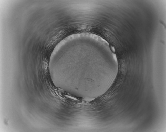 X0000102411154200808291501