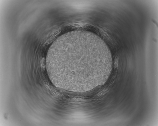 X0000102411156200808291501