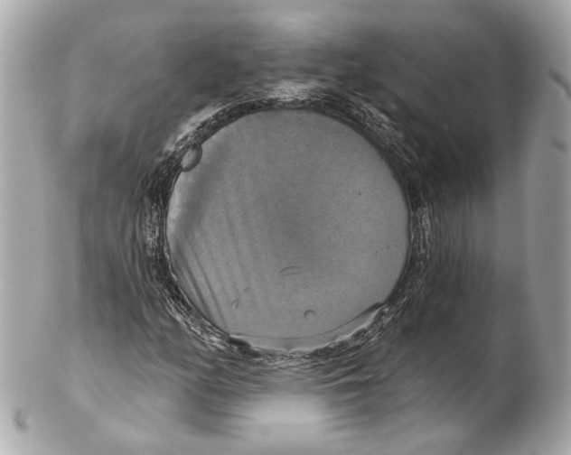 X0000102411158200808291501