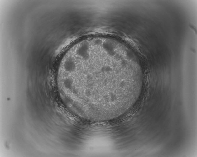 X0000102411159200808291501