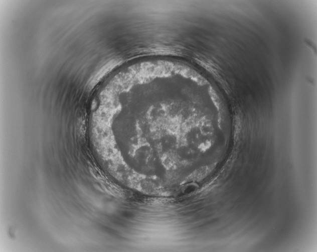 X0000102411163200808291501