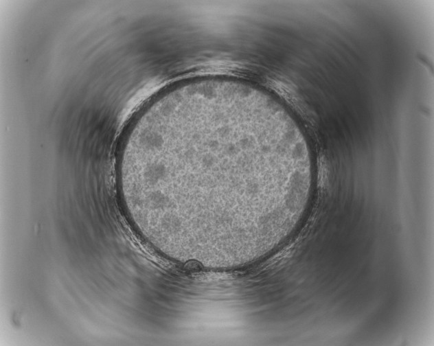 X0000102411164200808291501