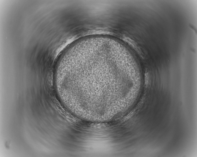 X0000102411165200808291501