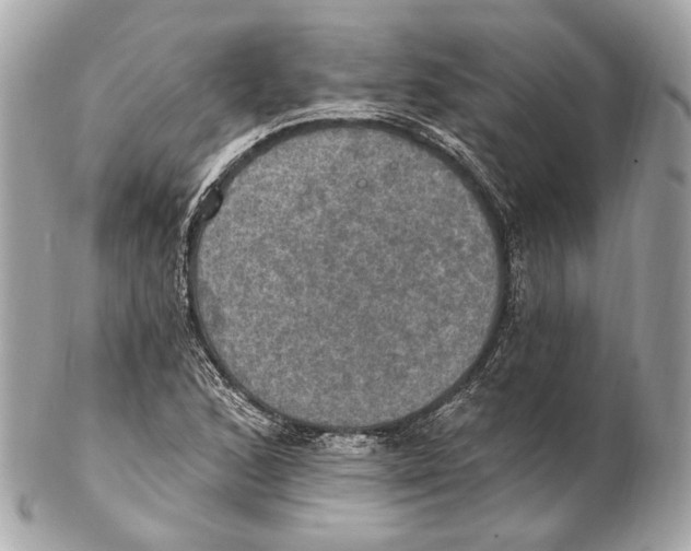 X0000102411168200808291501