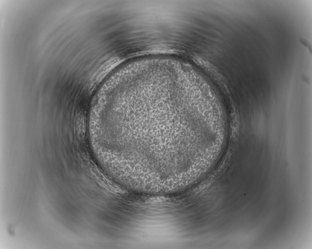 X0000102411169200808291501