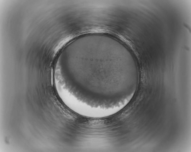 X0000102411171200808291501