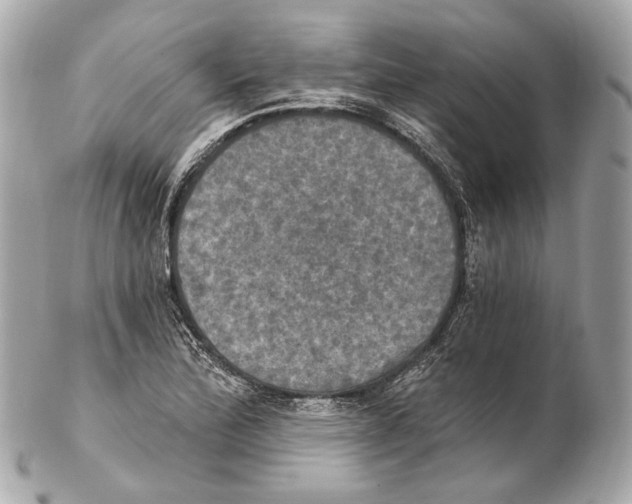 X0000102411172200808291501